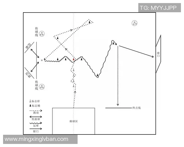 接近足球明星的职业选择与发展路径探讨